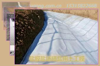 鹽膜鹽場(chǎng)曬鹽用土工膜