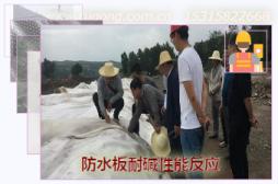 防水板耐堿性能反應(yīng)